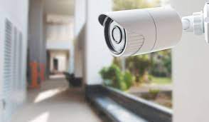 Domestic security camera